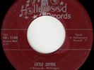 JAY RICHARDS Little Shyrel/Echoes On My Mind DOO WOP R&B ROCKER *hear*
