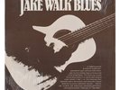 THE JAKE WALK 1930s rare blues tracks on STASH LP / Near Mint original BLUES LP