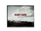 Giant Sand-Valley Of Rain  (US IMPORT)  VINYL LP NEW