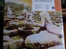 LED ZEPPLIN-HOUSES OF THE HOLY-LP-SEALED-RARE COLUMBIA RECORD CLUB PRESS