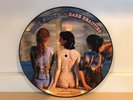 PINK FLOYD - RARE BEAUTIES-  BRAND NEW HEAVY PICTURE DISC VINYL LP RECORD