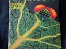 Catapilla Changes Vertigo reissue 180g 12