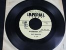 Fats Domino Bluberry Hill Honey Chile Original 7