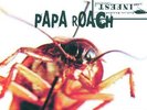 Papa Roach - Infest (NEW 12