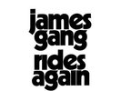 JAMES GANG – RIDES AGAIN – LP VINYL