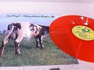 PINK FLOYD 12 