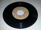 BLANK[COXSONE]/MAGA DOWN - THE VICEROYS [R/STEADY] 7