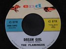 FLAMINGOS: Dream Girl / Time Was 45 Vocal Groups