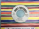 hot boogie chillun f***** sweet fury records 45rpm 7'' sigle ex condition