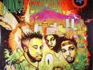 JUNGLE BROTHERS - Done By The Forces Of Nature - Vinyl (2xLP)