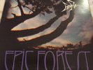 Epic Forest Rare Bird
