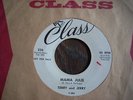 RARE NORTHERN SOUL / R&B  TERRY and JERRY  mama julie  CLASS PROMO CLEAN