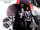 Junior [Vinyl LP] von Röyksopp | CD | gebraucht