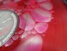 Slayer Reign in Blood liquid edition 12