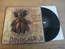 DINOSAUR JR BUG RARE NORMAL 1988 GERMAN PRESS IN MINT CONDITION