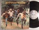 Cottonwood  Camaraderie   Folk Rock