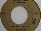 ROGUES train kept a-rolling/you better look now '66 Audition Recording 45 ?