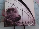 VS Pearl Jam Vinyl LP Album 1993 Sony Music Epic 53136 GateFold Cover RPM 33 12