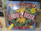FLESHTONES Budget Busters LP RSD Black Friday NEW