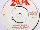 ASSOCIATION SHOWBAND Summer Dreaming PRIVATE UK SUNSHINE POP 45 Zel-la '73