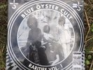 Blue Oyster Cult rarities vinyl rescord store day rsd