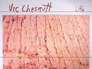 CHESNUTT, Vic - Little (remastered) - Vinyl (LP)