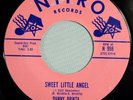 HEAR IT 60's Teener Rocker 45 rpm record Danny Brikta 
