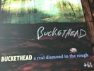 Buckethead - A Real Diamond in the Rough - Signed Edition Vinyl