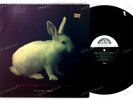 Cosmic Psychos - Slave To The Crave GER LP 1990 //1