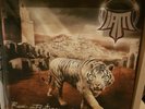 IAM - revoir un printemps - album 3LP