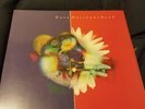 Dave Matthews Band Crash 20th anniversary 2xLP Splatter color vinyl Amazon