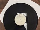 Before Their Eyes - Midwest Modesty - Vinyl Test Press