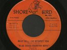 Oklahoma Bluegrass 45   Blue Grass Country Boys   Shore Bird   Listen