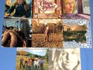 THE ALLMAN BROTHERS BAND+ GREGG ALLMAN---9 ALBUM LOT--ENLIGHTENED ROGUES & MORE