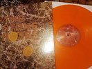 The Stone Roses - Marbled Orange Vinyl Record 12