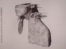 COLDPLAY - A Rush Of Blood To The Head - Vinyl (limited gatefold LP)