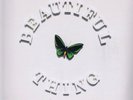 The Stone Roses – Beautiful Thing – Limited Edition 12-inch Record