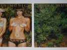 Roxy Music Country Life LP With Original & Replacement Covers