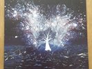 Arcane Roots - Blood & Chemistry 2x Vinyl LP 180gsm [2013] - VERY RARE