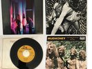Mudhoney 2 LPs & 2 Singles: Superfuzz Bigmuff, S/T, You Got It, Suck You Dry