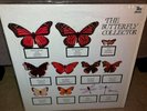 2LP Bootleg THE JAM Butterfly Collector U.S Pressing In E.C