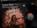 ENGLISH DOGS Metalmorphosis LP RECORD RARE METAL ORIGINAL UK FLAG RECORDS