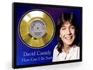David Cassidy How Can I Be Sure Framed Gold Disc Display Vinyl (C1)