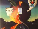 DRAKE, Nick - Pink Moon - Vinyl (gatefold LP)