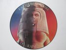 EARTH WIND & FIRE - Raise VINYL LP PICTURE DISC, excellent condition