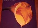 Swans/Jarboe - 4 LPs + 1 EP  Children of God, The burning world, Holy Money, ...