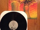 Nuclear Assault original 1988 survive  vinyl LP