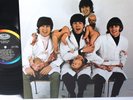 THE BEATLES GATEFOLD BUTCHER COVER RARITIES VINYL LP MONO 1ST PRESSING EX RARE