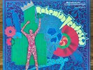 Bohemian Vendetta - S/T Mainstream KY - 532 LP Original Psych NM