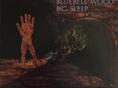 BIG SLEEP (aka EYES OF BLUE) BLUEBELL WOOD UK VINYL PEGASUS PEG-4 - 1971
